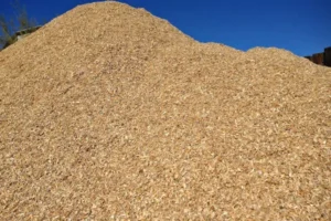 Wholesale Wood Fiber For Sale