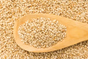 SESAME SEEDS